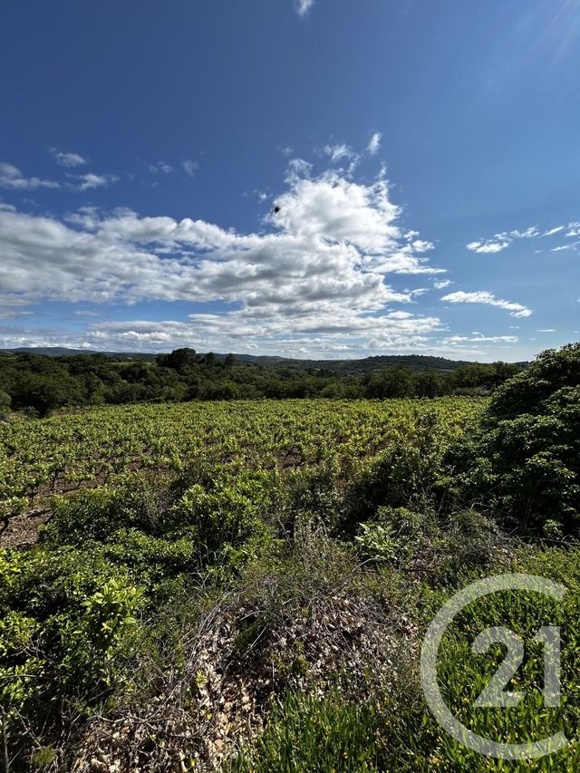 Terrain à vendre - 905 m2 - Pezenas - 34 - LANGUEDOC-ROUSSILLON